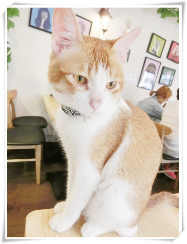 1429807490-3795572392.jpg 1429807490-3795572392.jpg