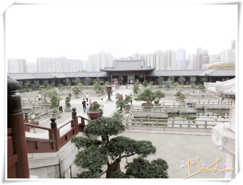 1440434579-2839184408.jpg 1440434579-2839184408.jpg