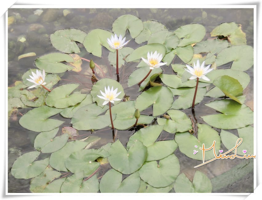 1440434554-865088863.jpg 1440434554-865088863.jpg