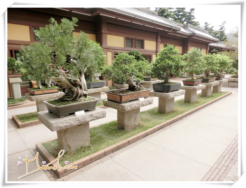 1440434460-3217436328.jpg 1440434460-3217436328.jpg