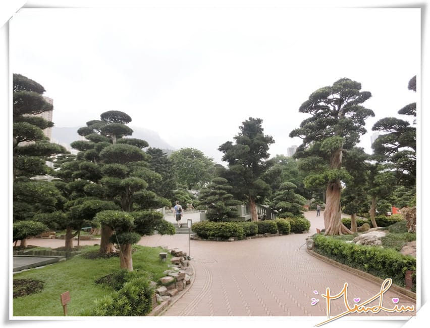 1440434448-948331159.jpg 1440434448-948331159.jpg