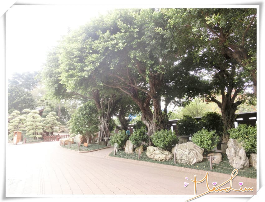 1440434476-3292777923.jpg 1440434476-3292777923.jpg