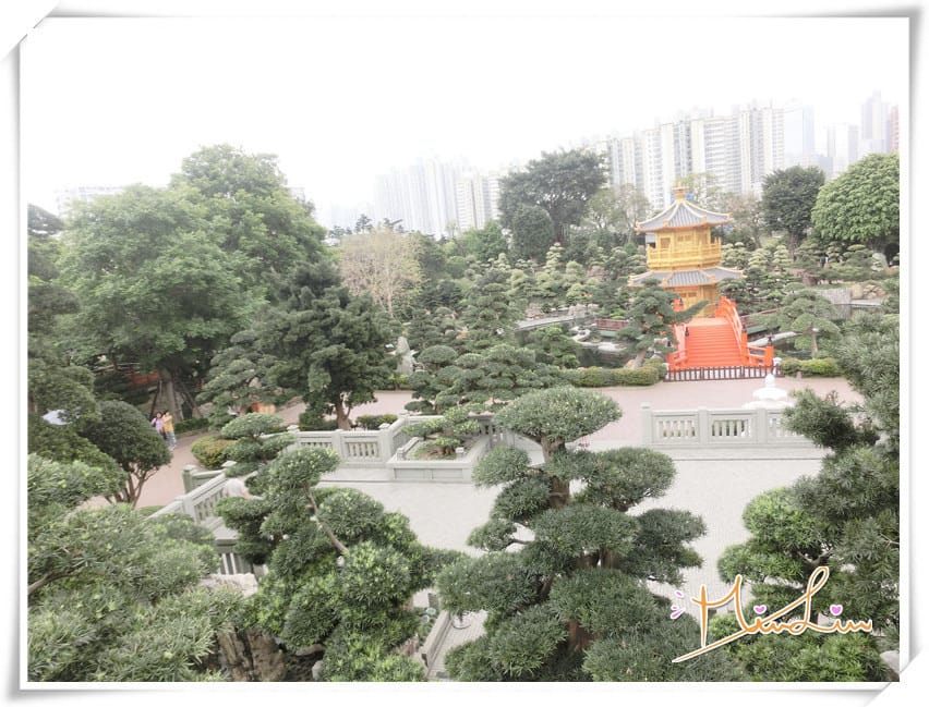 [香港景點.鑽石山站]南蓮園池~與志蓮淨苑相輝映的絕美城市庭園