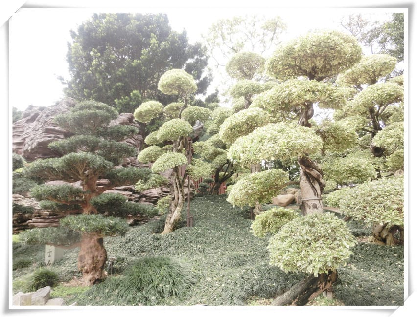 1440434478-3891224638.jpg 1440434478-3891224638.jpg