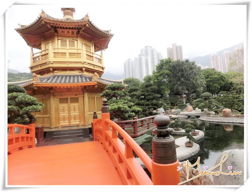 1440434484-3617785202.jpg 1440434484-3617785202.jpg