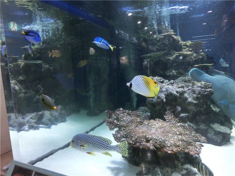 1413390352-1265614718.jpg 1413390352-1265614718.jpg