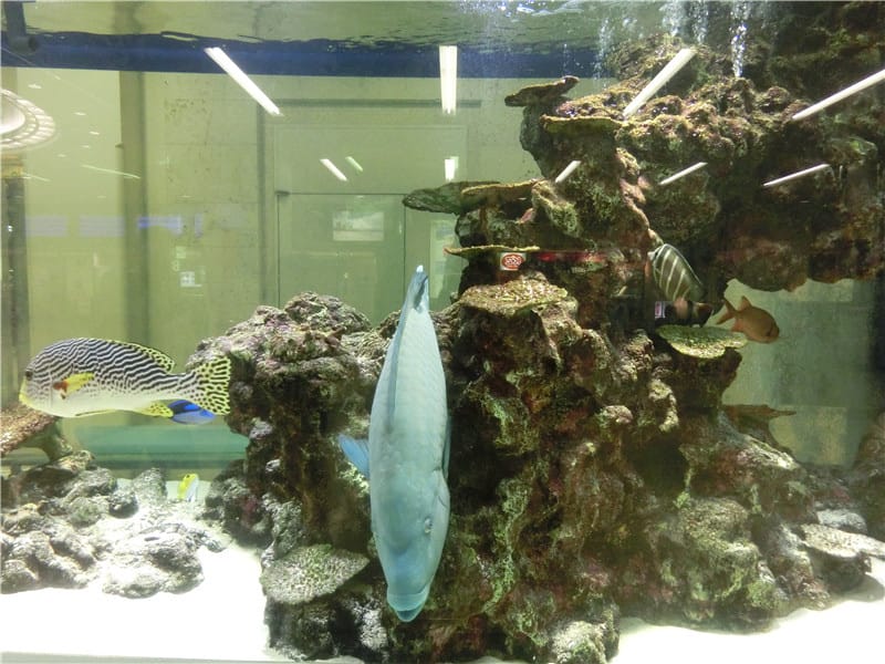 1413390347-3491124355.jpg 1413390347-3491124355.jpg