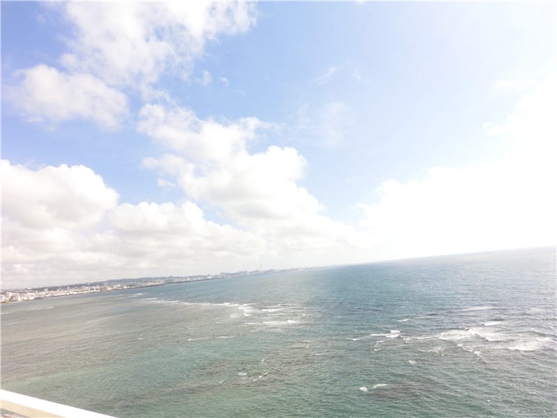 1413216604-2016024686.jpg 1413216604-2016024686.jpg