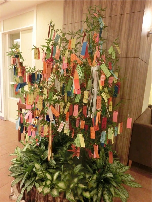 1413217078-3256655215.jpg 1413217078-3256655215.jpg