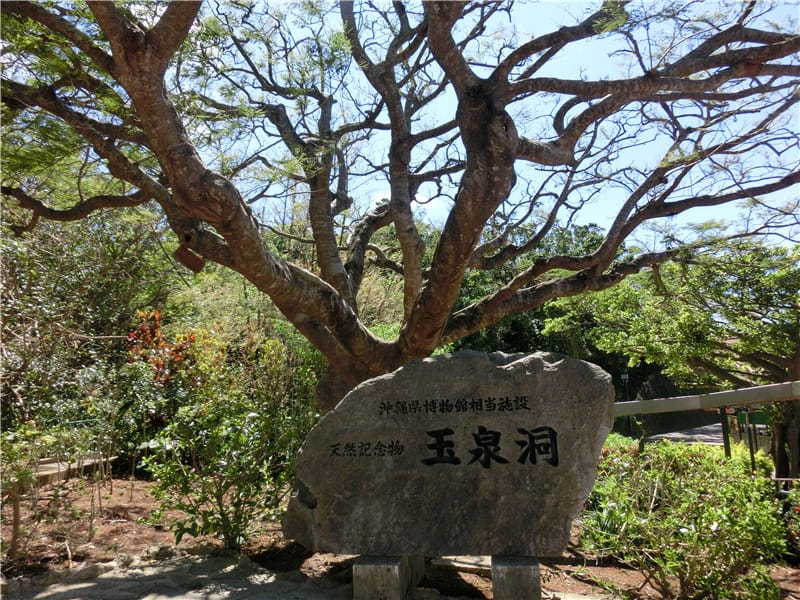 1413390080-4239573523.jpg 1413390080-4239573523.jpg