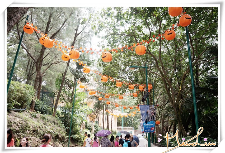 1442334831-2082635363.jpg 1442334831-2082635363.jpg