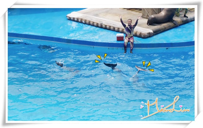 1442334827-556749341.jpg 1442334827-556749341.jpg