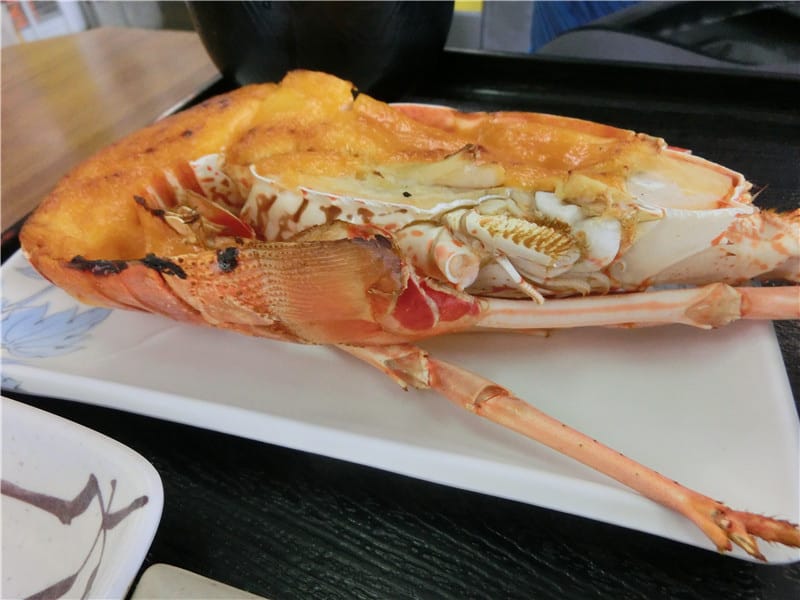 1413299606-3074189954.jpg 1413299606-3074189954.jpg