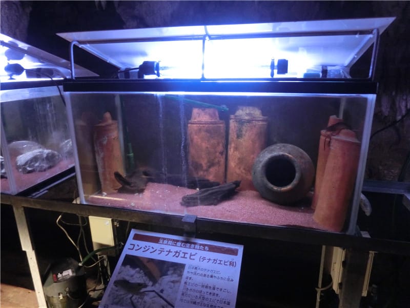 1413390175-1251600578.jpg 1413390175-1251600578.jpg