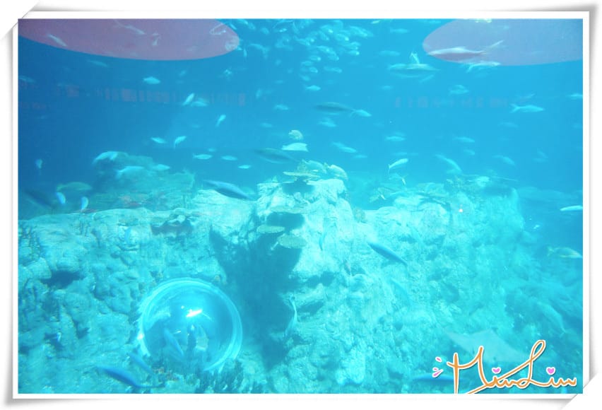 1442334972-581304933.jpg 1442334972-581304933.jpg