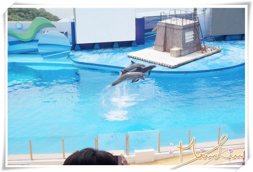 1442334763-265324530.jpg 1442334763-265324530.jpg