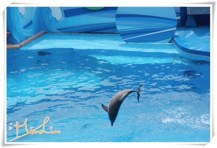 1442334824-1567981200.jpg 1442334824-1567981200.jpg