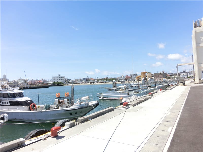 1413299497-3155258212.jpg 1413299497-3155258212.jpg