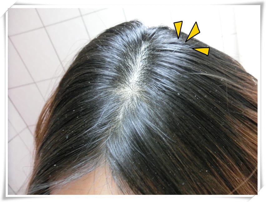 1421605864-4248220918.jpg 1421605864-4248220918.jpg