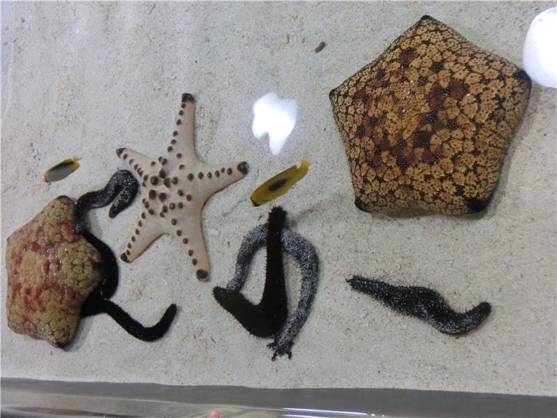 1413299760-2691938475.jpg 1413299760-2691938475.jpg