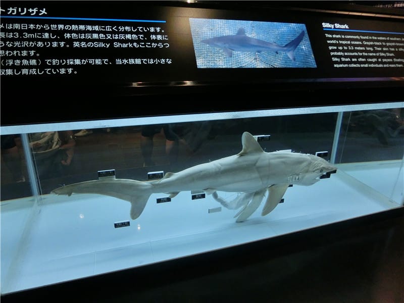 1413300277-520827012.jpg 1413300277-520827012.jpg