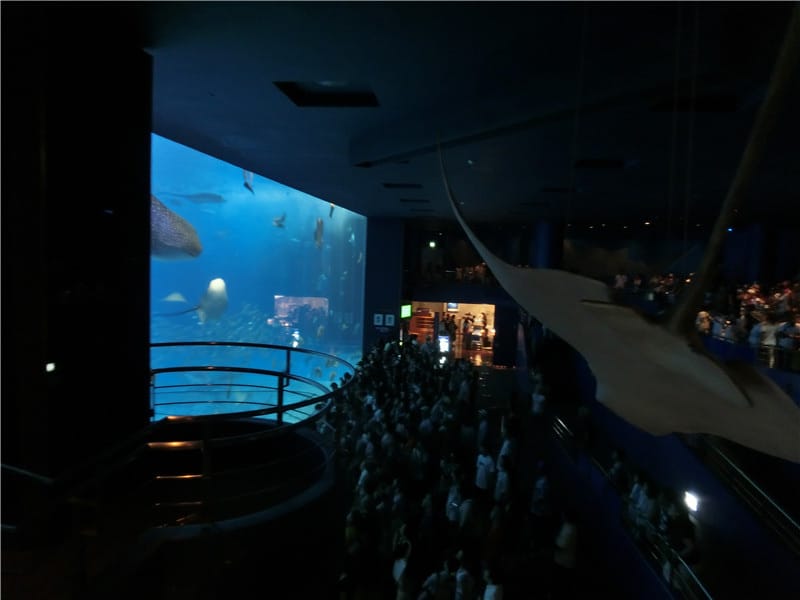 1413300270-504094544.jpg 1413300270-504094544.jpg