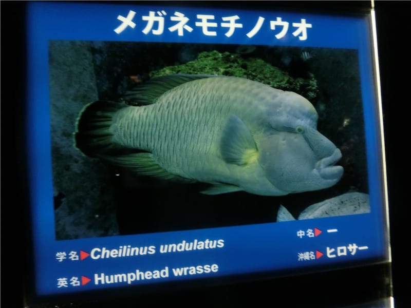 1413299898-1094242804.jpg 1413299898-1094242804.jpg