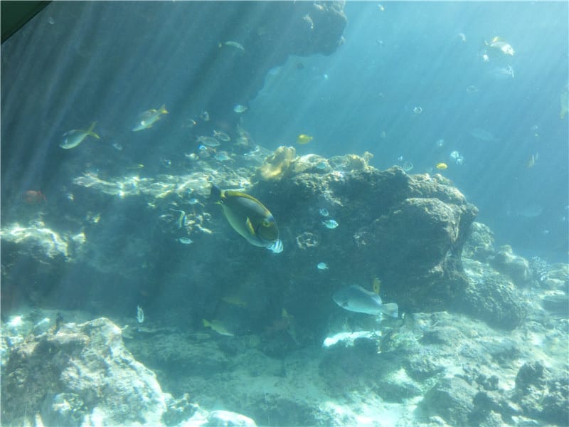 1413299887-2325338134.jpg 1413299887-2325338134.jpg