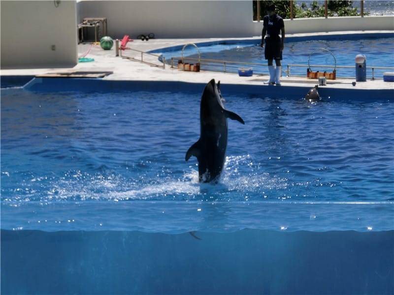 1413299709-2181942424.jpg 1413299709-2181942424.jpg