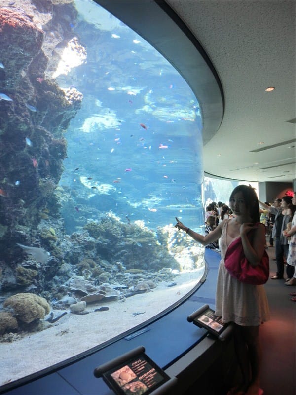 1413299818-3923031672.jpg 1413299818-3923031672.jpg