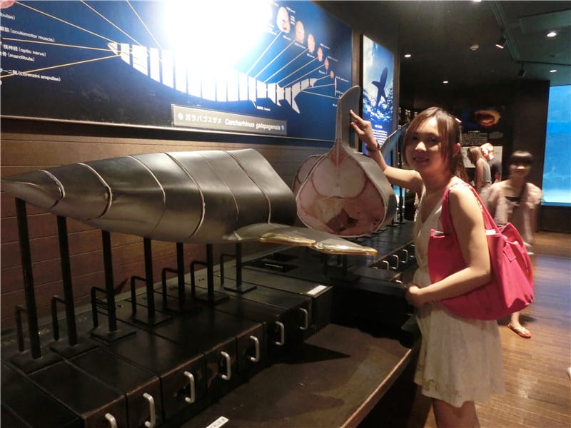 1413300297-4095403526.jpg 1413300297-4095403526.jpg