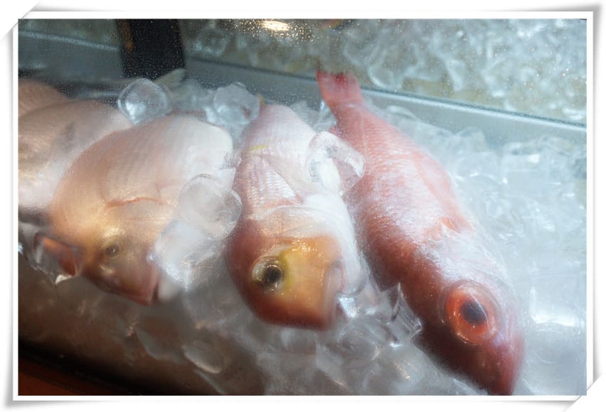 1446396258-4267782788.jpg 1446396258-4267782788.jpg