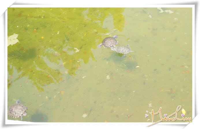 1447776747-1737985302.jpg 1447776747-1737985302.jpg