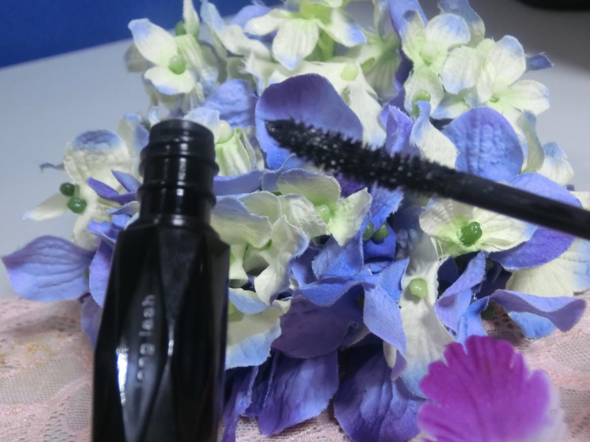 CIMG0328.JPG CIMG0328.JPG