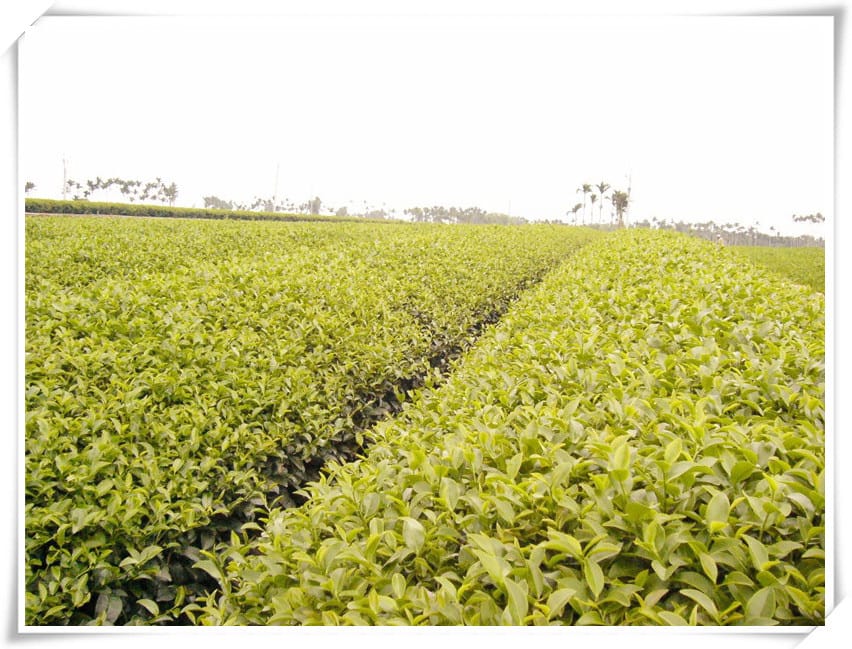 1448987951-3740605838.jpg 1448987951-3740605838.jpg