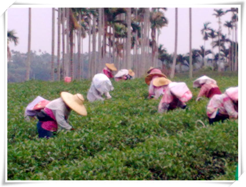 1448987953-3212697351.jpg 1448987953-3212697351.jpg