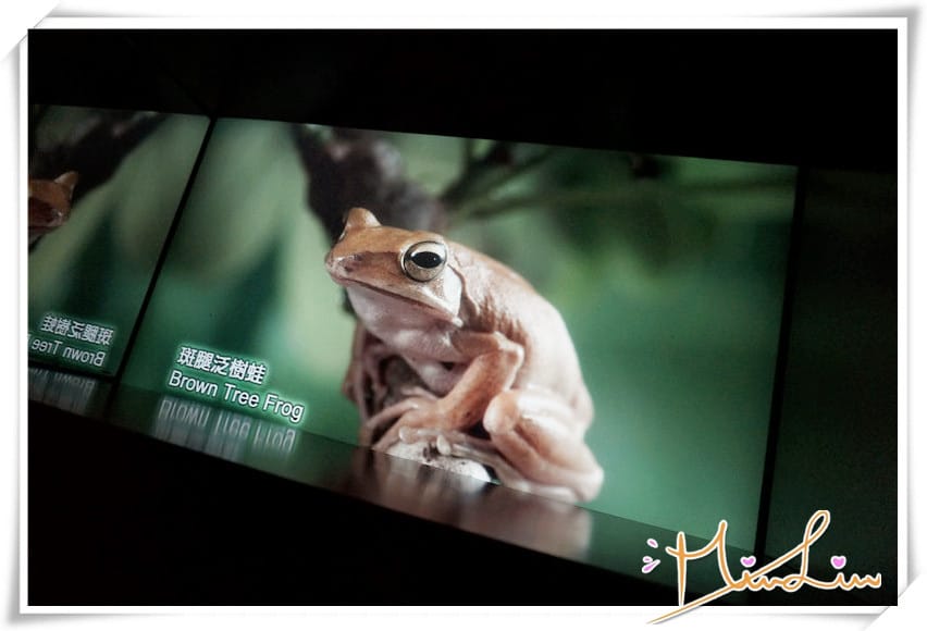 1450281709-635299639.jpg 1450281709-635299639.jpg