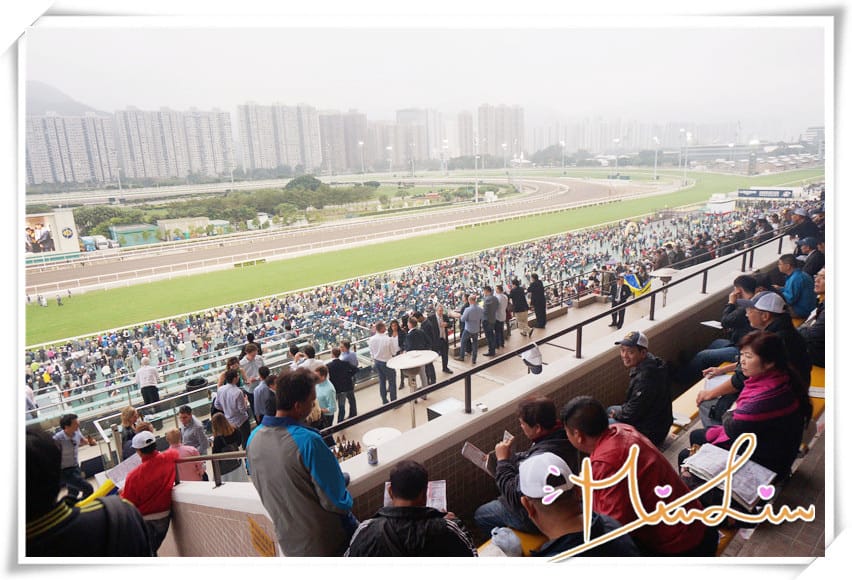 1450886956-4254631845.jpg 1450886956-4254631845.jpg