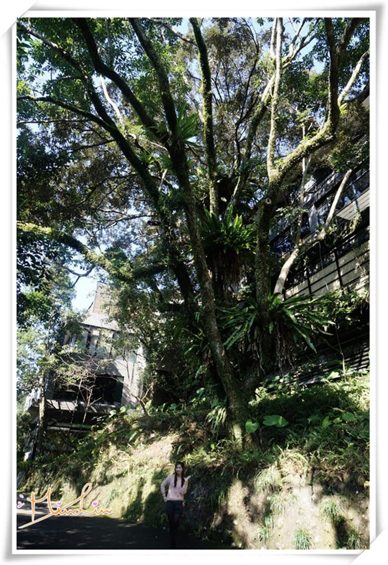 1452618750-1772473232.jpg 1452618750-1772473232.jpg