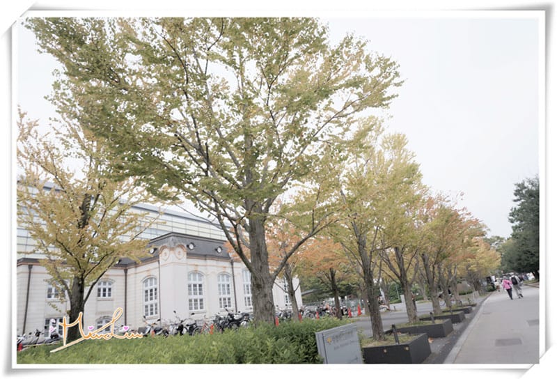 1452700801-1191169038.jpg 1452700801-1191169038.jpg