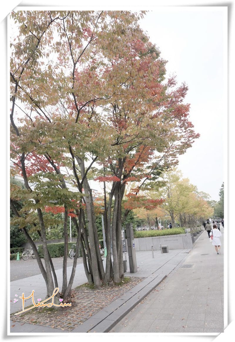 1452700796-3328332219.jpg 1452700796-3328332219.jpg