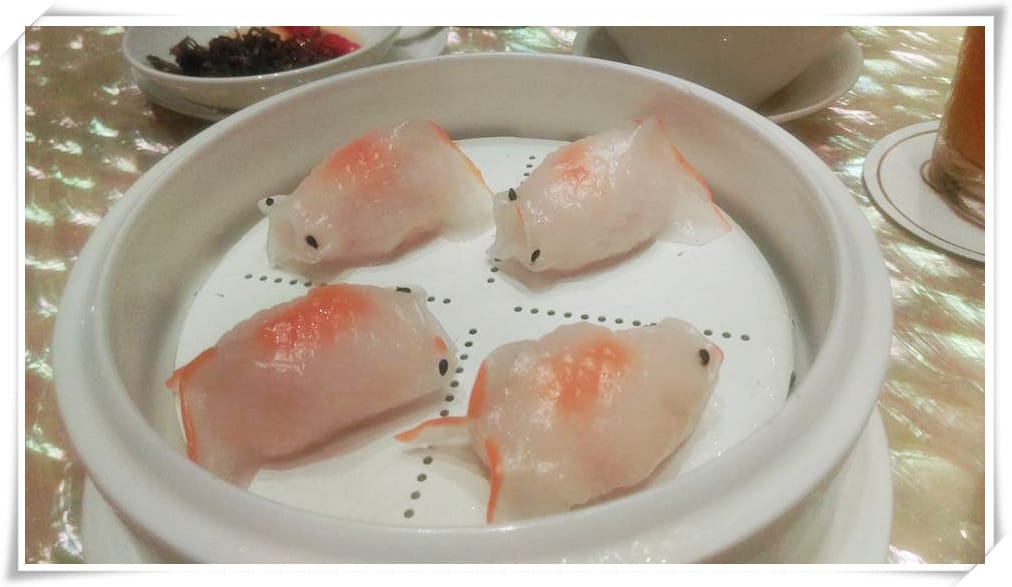 12523005_1024751094232865_7605997776579826959.jpg 12523005_1024751094232865_7605997776579826959.jpg