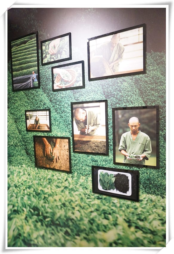 DSC00455_副本.jpg DSC00455_副本.jpg