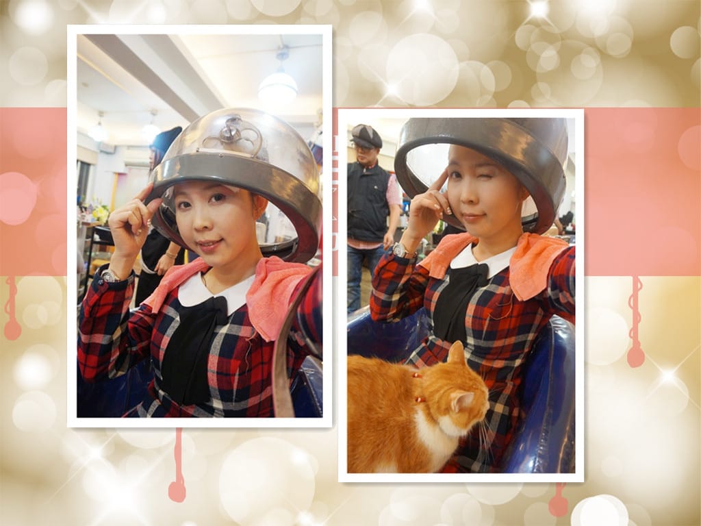 [美髮.捷運新店區公所]葦汎美髮沙龍~發現隱藏版大師級美髮達人阿吉/療癒系天使貓咪阿喵