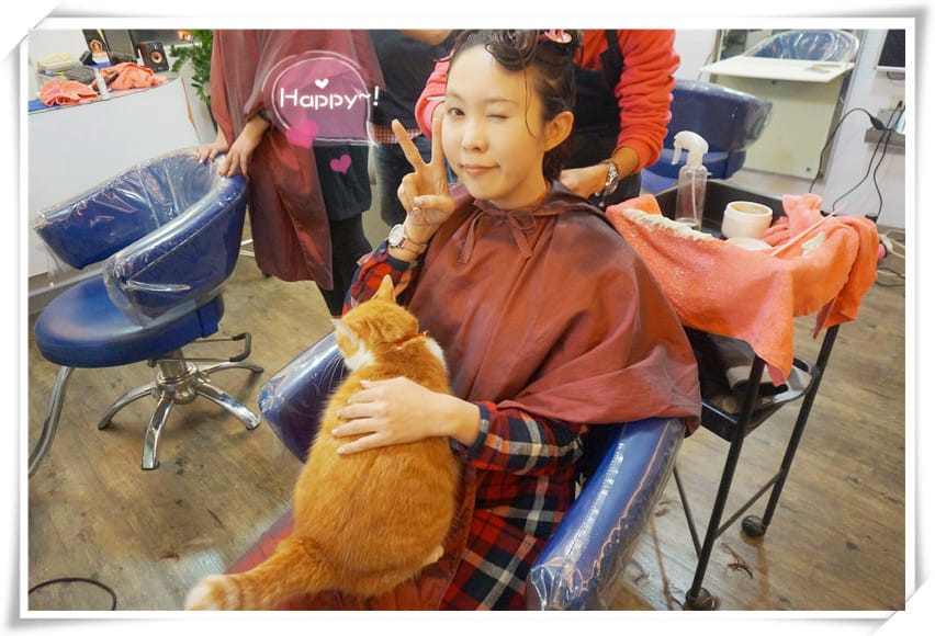 [美髮.捷運新店區公所]葦汎美髮沙龍~發現隱藏版大師級美髮達人阿吉/療癒系天使貓咪阿喵