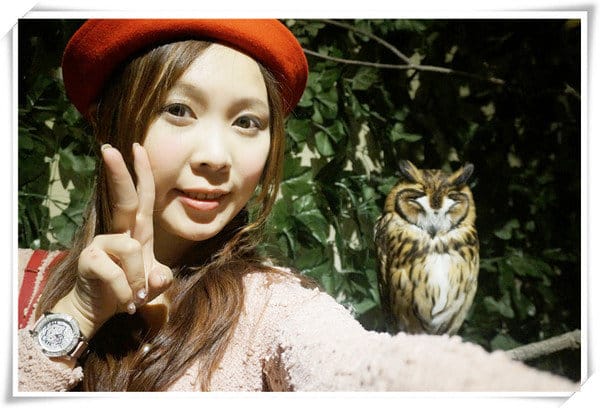 日本九州豪斯登堡HUIS TEN BOSCH-療癒系フクロウの森(貓頭鷹之森)~必逛.必玩!就像哈利波特一般.置身在可愛貓頭鷹旁 - 第17張圖 208472240.jpg