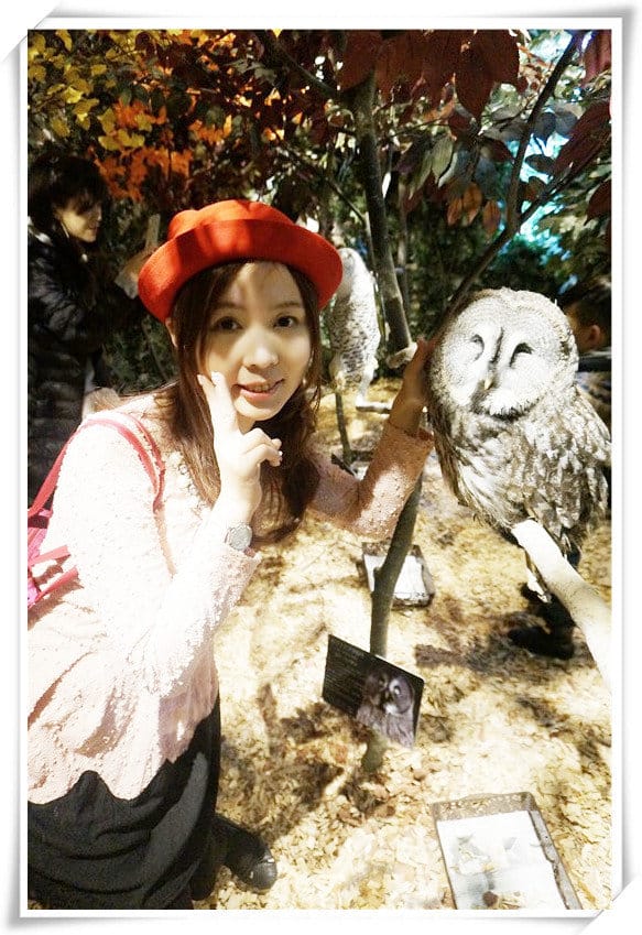 日本九州豪斯登堡HUIS TEN BOSCH-療癒系フクロウの森(貓頭鷹之森)~必逛.必玩!就像哈利波特一般.置身在可愛貓頭鷹旁 - 第26張圖 208472243.jpg