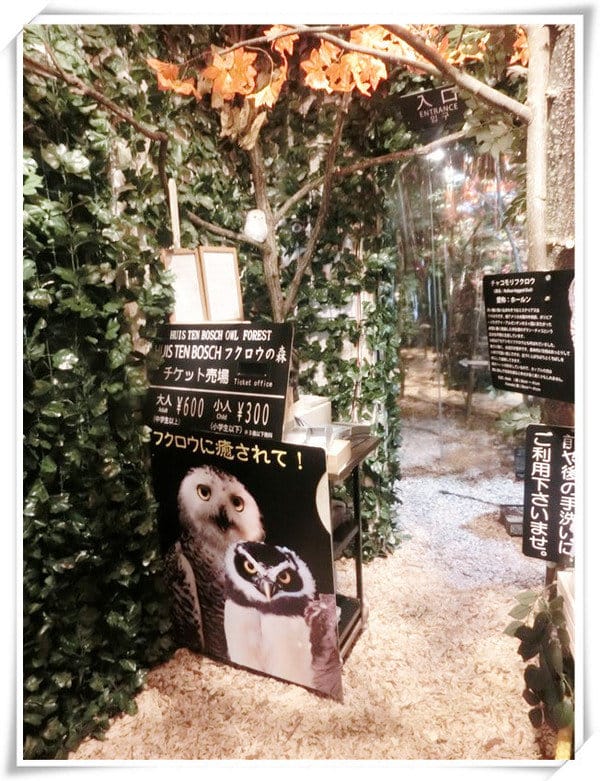 日本九州豪斯登堡HUIS TEN BOSCH-療癒系フクロウの森(貓頭鷹之森)~必逛.必玩!就像哈利波特一般.置身在可愛貓頭鷹旁 - 第7張圖 208472162.jpg