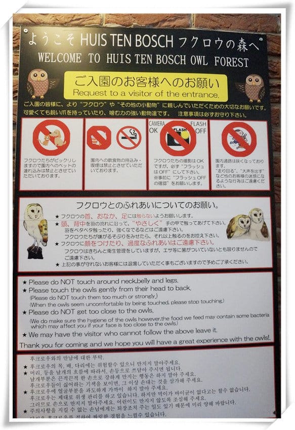 日本九州豪斯登堡HUIS TEN BOSCH-療癒系フクロウの森(貓頭鷹之森)~必逛.必玩!就像哈利波特一般.置身在可愛貓頭鷹旁 - 第10張圖 208472171.jpg
