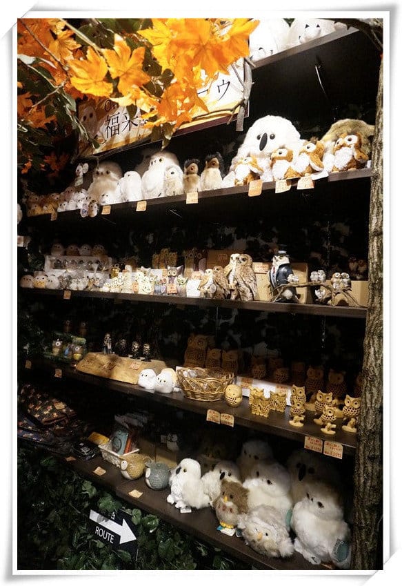 日本九州豪斯登堡HUIS TEN BOSCH-療癒系フクロウの森(貓頭鷹之森)~必逛.必玩!就像哈利波特一般.置身在可愛貓頭鷹旁 - 第11張圖 208472183.jpg